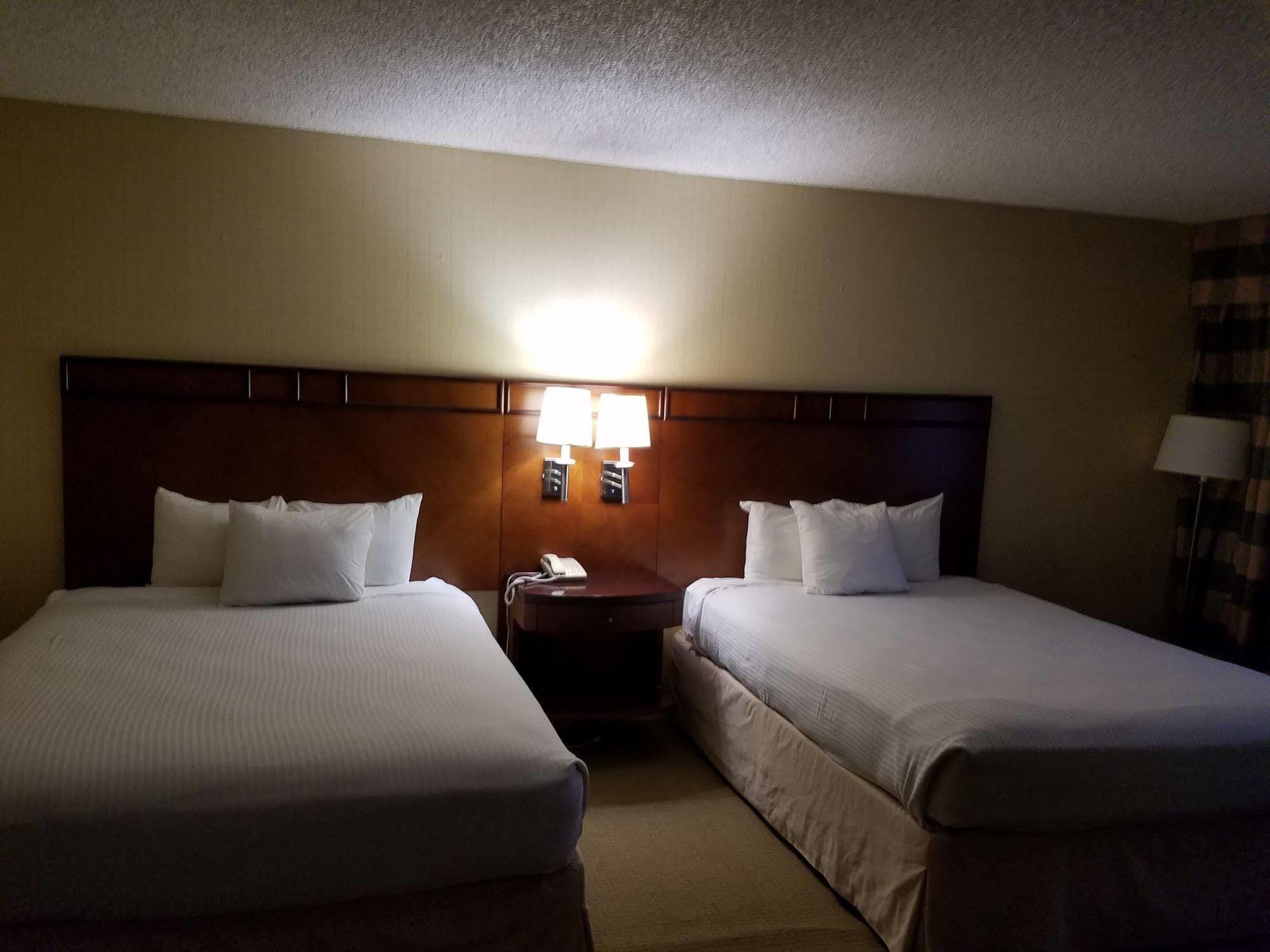 Hotel The 3*